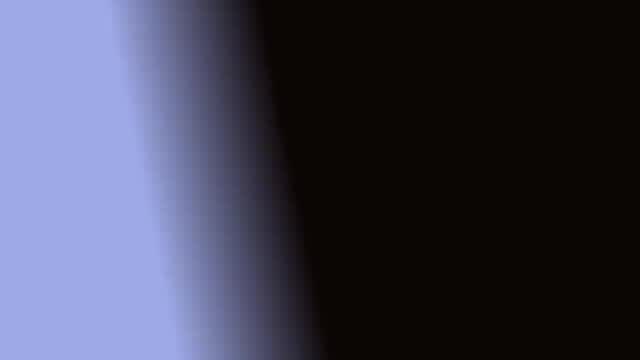 trace_bloom (video)